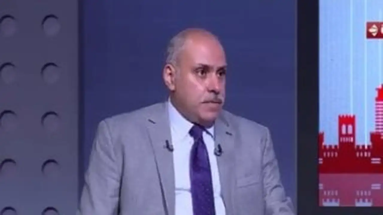 مصر تؤكد دورها المحوري في قمة السبع المقبلة